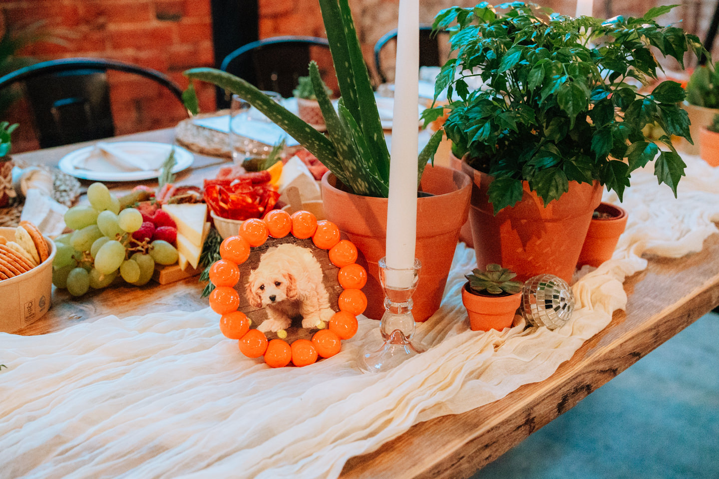 PREVIEWS MILLIE TOM SHACK REVOLUTION WEDDING PHOTOGRAPHY 016 PREVIEWS MILLIE TOM SHACK REVOLUTION WEDDING PHOTOGRAPHY 016